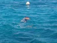 Great day of scuba diving in Key Largo with Rainbow Reef on christmastree cave tropical odyssey 2014 07 10 r476 1