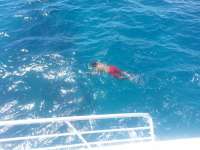 Great day of scuba diving in Key Largo with Rainbow Reef on christmastree cave tropical odyssey 2014 07 16 r511 1