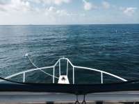 Great day of scuba diving in Key Largo with Rainbow Reef on city of washington tropical adventure 2014 07 25 r549 1