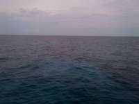 Great day of scuba diving in Key Largo with Rainbow Reef on city of washington tropical odyssey 2014 07 01 r440 1