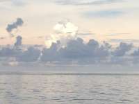 Great day of scuba diving in Key Largo with Rainbow Reef on city of washington tropical odyssey 2014 07 15 r505 2
