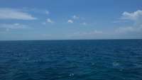 Great day of scuba diving in Key Largo with Rainbow Reef on city of washington tropical odyssey 2014 07 29 r566 1