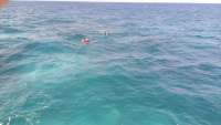 Great day of scuba diving in Key Largo with Rainbow Reef on conch pillars tropical adventure 2014 07 02 r443 1