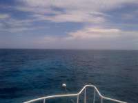 Great day of scuba diving in Key Largo with Rainbow Reef on eagle ray alley tropical adventure 2014 07 13 r492 1