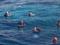 Great day of scuba diving in Key Largo with Rainbow Reef on eagle ray alley tropical odyssey 2014 07 14 r497 1