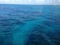 Great day of scuba diving in Key Largo with Rainbow Reef on eagle ray alley tropical odyssey 2014 07 14 r497 3