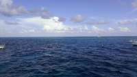 Great day of scuba diving in Key Largo with Rainbow Reef on eagle ray alley tropical voyager 2014 07 31 r572 1