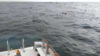 Great day of scuba diving in Key Largo with Rainbow Reef on fire coral cave tropical voyager 2014 07 07 r462 1