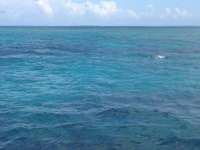 Great day of scuba diving in Key Largo with Rainbow Reef on french reef tropical odyssey 2014 07 12 r485 2