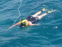 Great day of scuba diving in Key Largo with Rainbow Reef on french reef tropical odyssey 2014 07 12 r485 3
