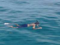 Great day of scuba diving in Key Largo with Rainbow Reef on french reef tropical odyssey 2014 07 15 r501 1