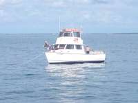 Great day of scuba diving in Key Largo with Rainbow Reef on french reef tropical odyssey 2014 07 15 r501 2