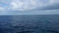 Great day of scuba diving in Key Largo with Rainbow Reef on french reef tropical odyssey 2014 07 29 r563 1