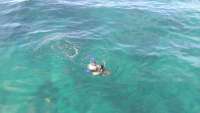 Great day of scuba diving in Key Largo with Rainbow Reef on french twist tropical voyager 2014 07 15 r503 1