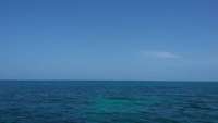 Great day of scuba diving in Key Largo with Rainbow Reef on minnow cave tropical adventure 2014 07 26 r554 1