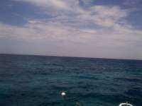 Great day of scuba diving in Key Largo with Rainbow Reef on molasses reef tropical adventure 2014 07 10 r477 1