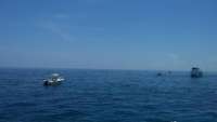 Great day of scuba diving in Key Largo with Rainbow Reef on molasses reef tropical adventure 2014 07 19 r523 1