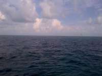 Great day of scuba diving in Key Largo with Rainbow Reef on molasses reef tropical odyssey 2014 07 02 r441 1