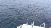 Great day of scuba diving in Key Largo with Rainbow Reef on north star tropical adventure 2014 07 01 r439 1