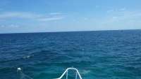 Great day of scuba diving in Key Largo with Rainbow Reef on north star tropical adventure 2014 07 23 r546 1