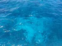 Great day of scuba diving in Key Largo with Rainbow Reef on north star tropical adventure 2014 07 29 r567 1