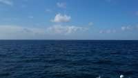 Great day of scuba diving in Key Largo with Rainbow Reef on north star tropical adventure 2014 07 31 r571 1