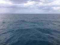 Great day of scuba diving in Key Largo with Rainbow Reef on north star tropical odyssey 2014 07 21 r531 1
