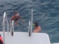 Great day of scuba diving in Key Largo with Rainbow Reef on north star tropical odyssey 2014 07 21 r531 3