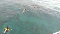 Great day of scuba diving in Key Largo with Rainbow Reef on pickle barrel wreck tropical voyager 2014 07 15 r504 1