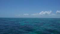 Great day of scuba diving in Key Largo with Rainbow Reef on pickle barrel wreck tropical voyager 2014 07 27 r557 1