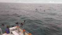 Great day of scuba diving in Key Largo with Rainbow Reef on sand island tropical voyager 2014 07 21 r532 1