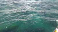 Great day of scuba diving in Key Largo with Rainbow Reef on sand island tropical voyager 2014 07 23 r543 1