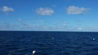 Great day of scuba diving in Key Largo with Rainbow Reef on snapper ledge tropical adventure 2014 07 16 r512 1