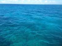 Great day of scuba diving in Key Largo with Rainbow Reef on snapper ledge tropical odyssey 2014 07 11 r480 1