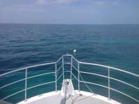 Great day of scuba diving in Key Largo with Rainbow Reef on snapper ledge tropical odyssey 2014 07 18 r519 1