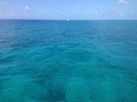 Great day of scuba diving in Key Largo with Rainbow Reef on snapper ledge tropical odyssey 2014 07 25 r551 1