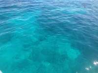 Great day of scuba diving in Key Largo with Rainbow Reef on snapper ledge tropical odyssey 2014 07 25 r551 2
