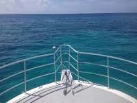 Great day of scuba diving in Key Largo with Rainbow Reef on snapper ledge tropical odyssey 2014 07 25 r551 3
