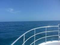 Great day of scuba diving in Key Largo with Rainbow Reef on snapper ledge tropical odyssey 2014 07 26 r555 1
