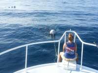 Great day of scuba diving in Key Largo with Rainbow Reef on spiegel grove tropical adventure 2014 07 04 r447 1