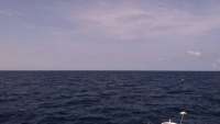 Great day of scuba diving in Key Largo with Rainbow Reef on spiegel grove tropical adventure 2014 07 17 r513 1