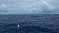 Great day of scuba diving in Key Largo with Rainbow Reef on spiegel grove tropical adventure 2014 07 21 r530 1
