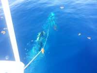 Great day of scuba diving in Key Largo with Rainbow Reef on uscgc duane tropical adventure 2014 07 09 r473 1