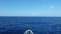 Great day of scuba diving in Key Largo with Rainbow Reef on uscgc duane tropical adventure 2014 07 14 r498 1