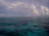 Great day of scuba diving in Key Largo with Rainbow Reef on winch hole tropical adventure 2014 07 05 r451 1