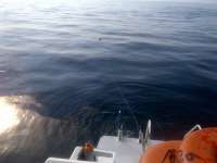 Great day of scuba diving in Key Largo with Rainbow Reef on benwood wreck tropical adventure 2014 06 08 r351 1
