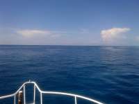 Great day of scuba diving in Key Largo with Rainbow Reef on benwood wreck tropical adventure 2014 06 21 r397 1