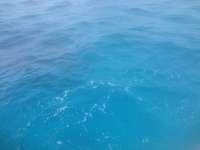 Great day of scuba diving in Key Largo with Rainbow Reef on benwood wreck tropical odyssey 2014 06 15 r378 3