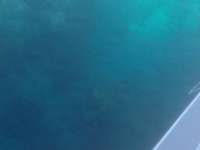 Great day of scuba diving in Key Largo with Rainbow Reef on christ statue tropical odyssey 2014 06 07 r346 1