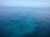 Great day of scuba diving in Key Largo with Rainbow Reef on christ statue tropical odyssey 2014 06 07 r346 2